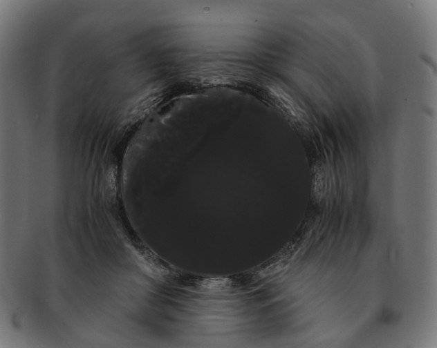 X0000091240410200709061544