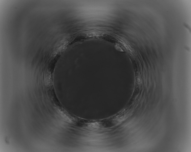X0000091240411200709061544