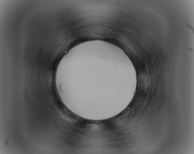 X0000091240412200709061544