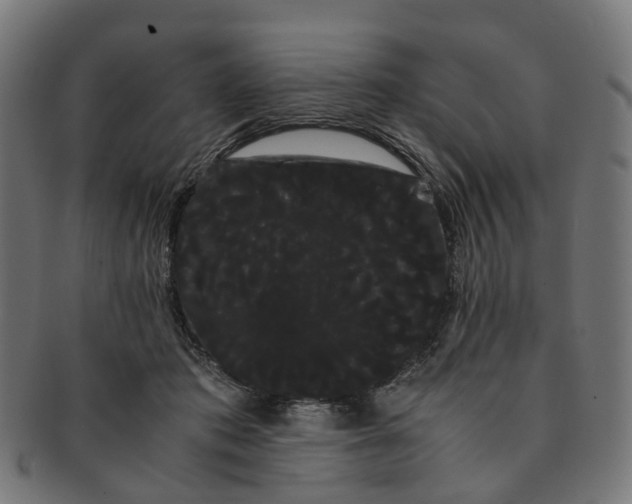 X0000091240413200709061544