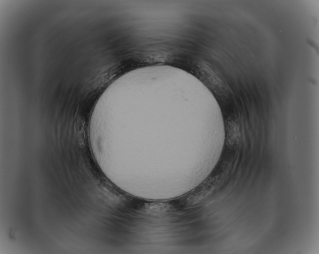 X0000091240414200709061544