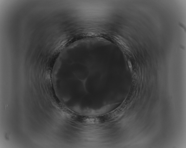 X0000091240415200709061544