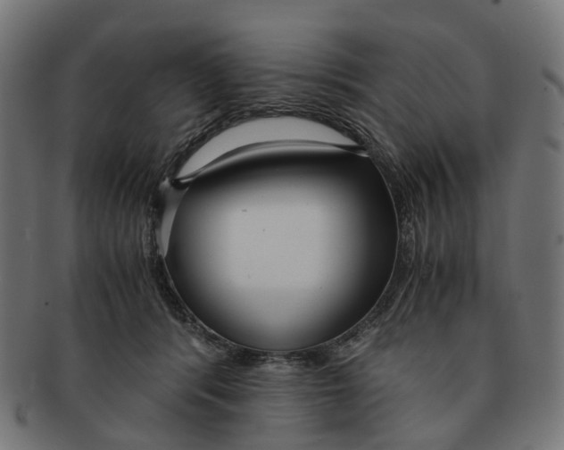 X0000091240416200709061544