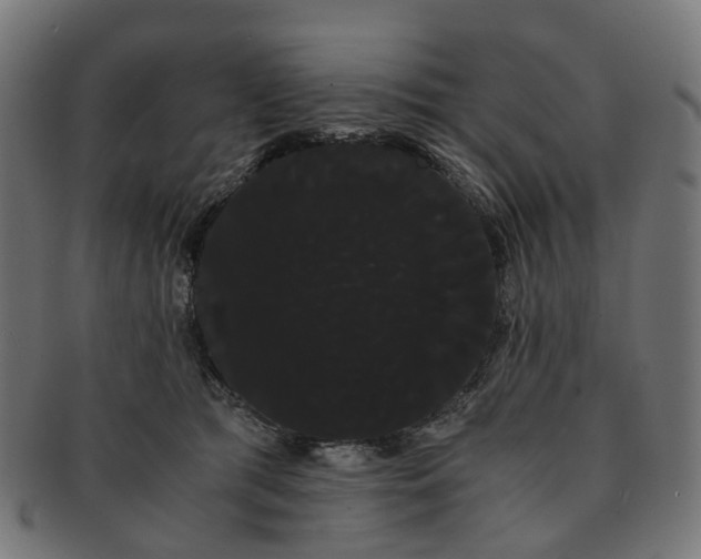 X0000091240417200709061544