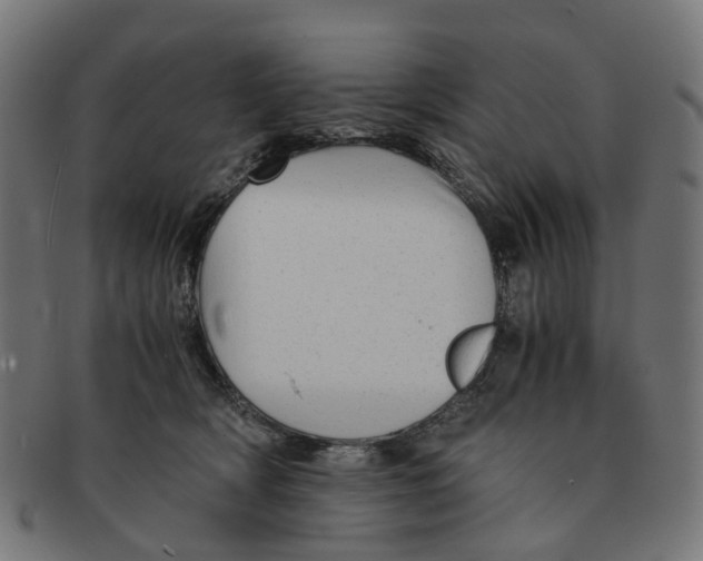 X0000091240418200709061544