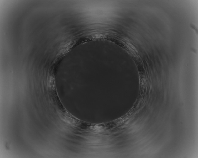 X0000091240419200709061544