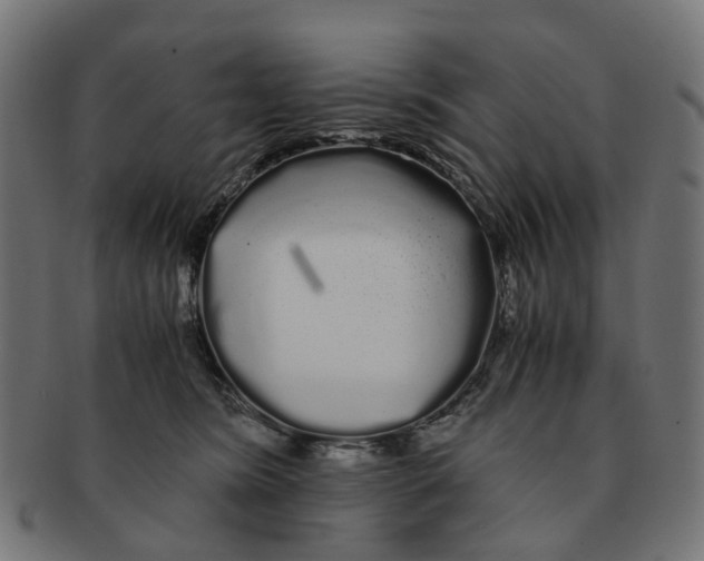 X0000091240420200709061544