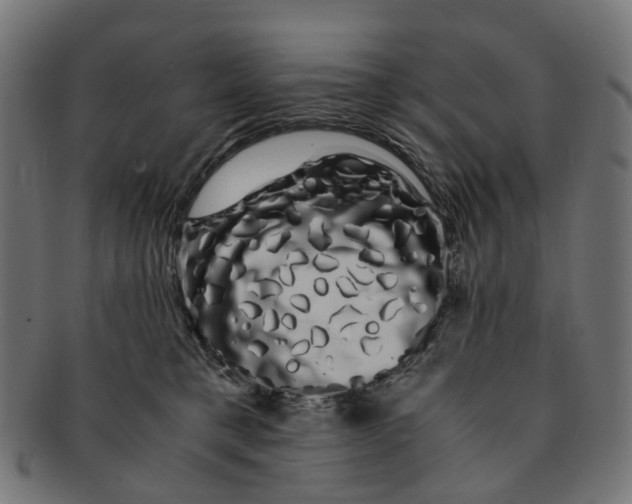 X0000091240421200709061544