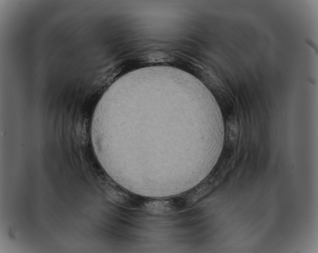 X0000091240422200709061544