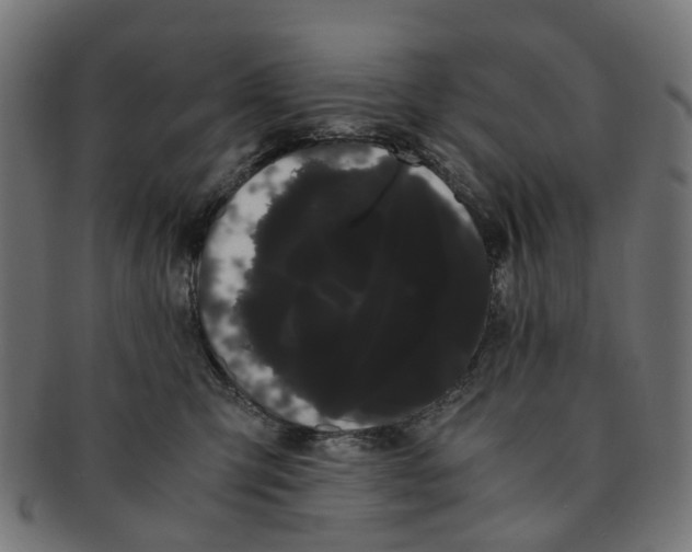 X0000091240423200709061544