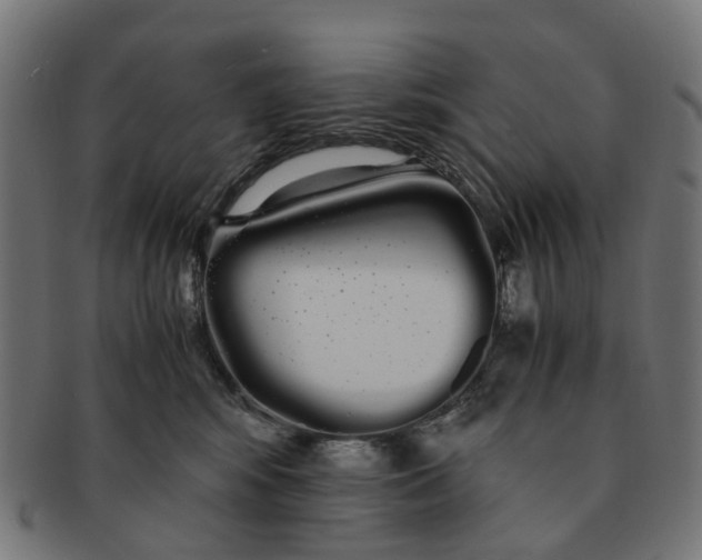 X0000091240424200709061544