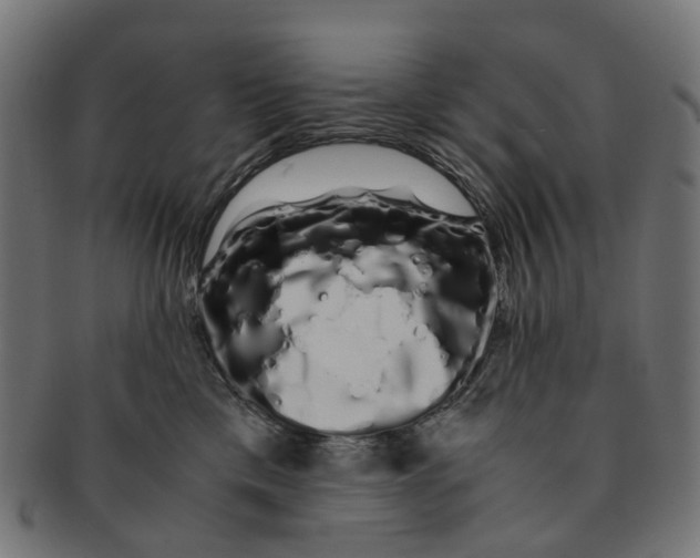X0000091240425200709061544