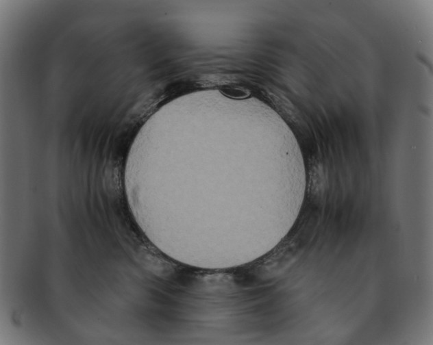 X0000091240426200709061544