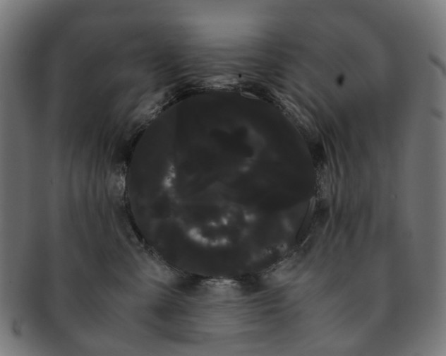 X0000091240427200709061544