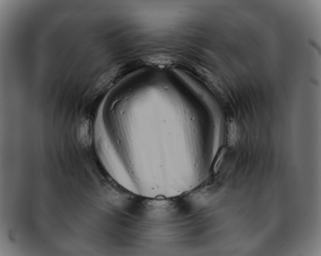 X0000091240428200709061544