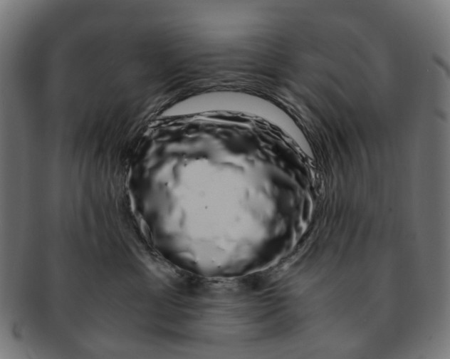 X0000091240429200709061544