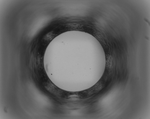 X0000091240430200709061544