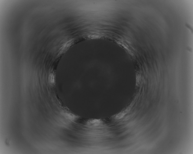 X0000091240431200709061544