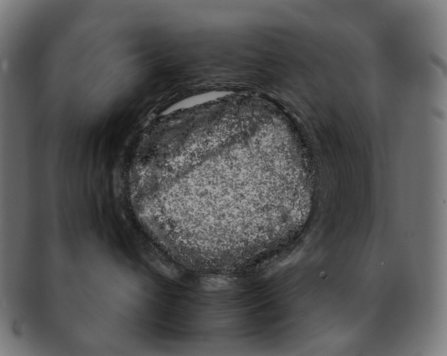 X0000091240432200709061544