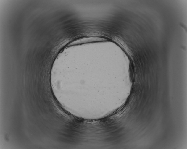 X0000091240433200709061543