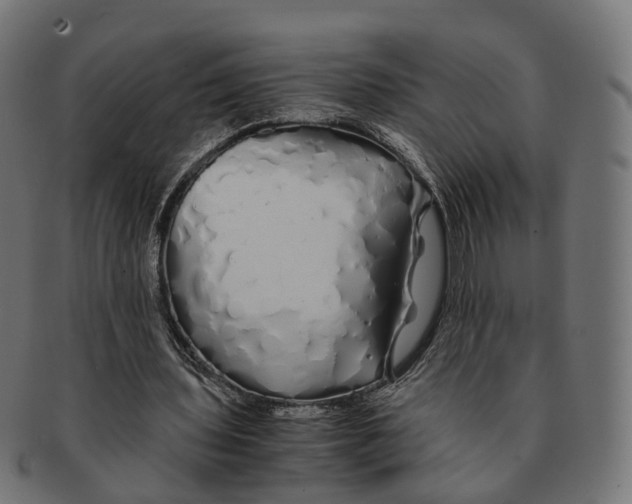 X0000091240435200709061543