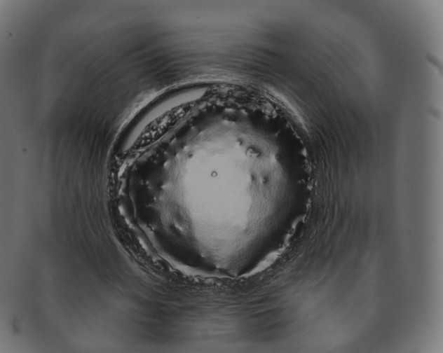 X0000091240436200709061543
