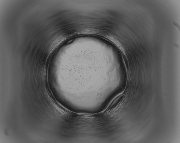 X0000091240437200709061543