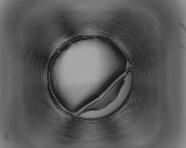 X0000091240438200709061543