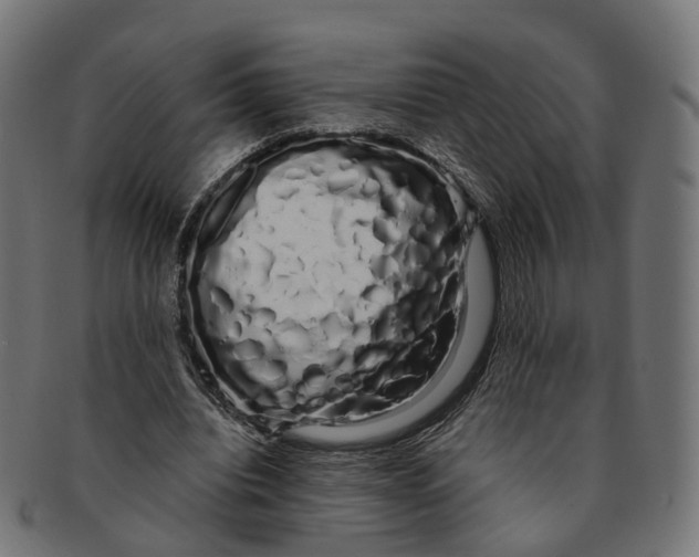 X0000091240440200709061543