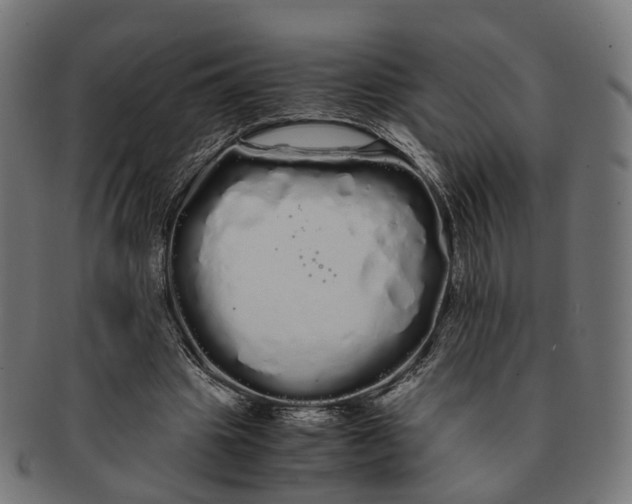 X0000091240441200709061543