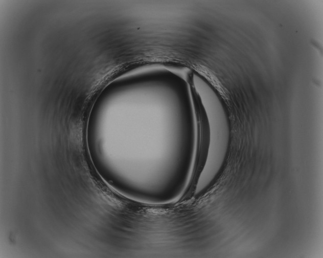 X0000091240442200709061543