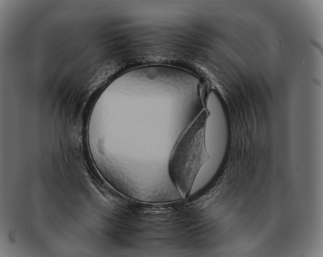 X0000091240443200709061543