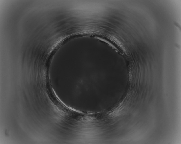 X0000091240444200709061543