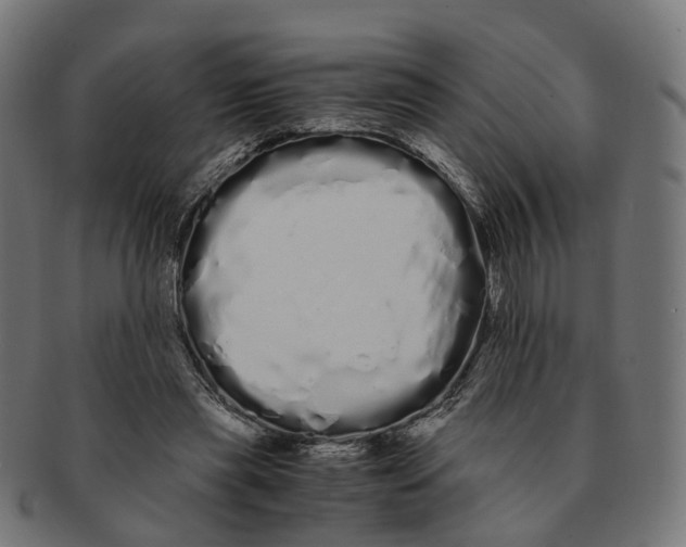 X0000091240445200709061543