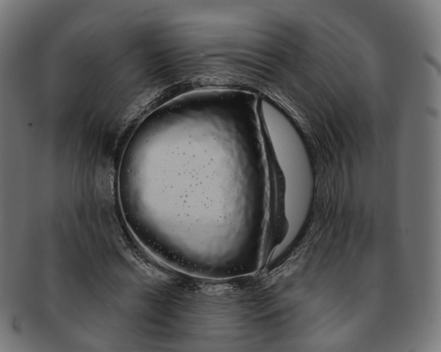 X0000091240446200709061543