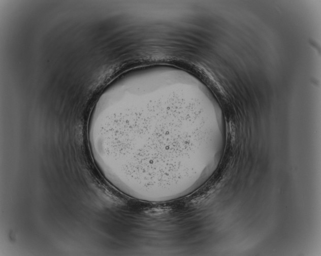 X0000091240447200709061543