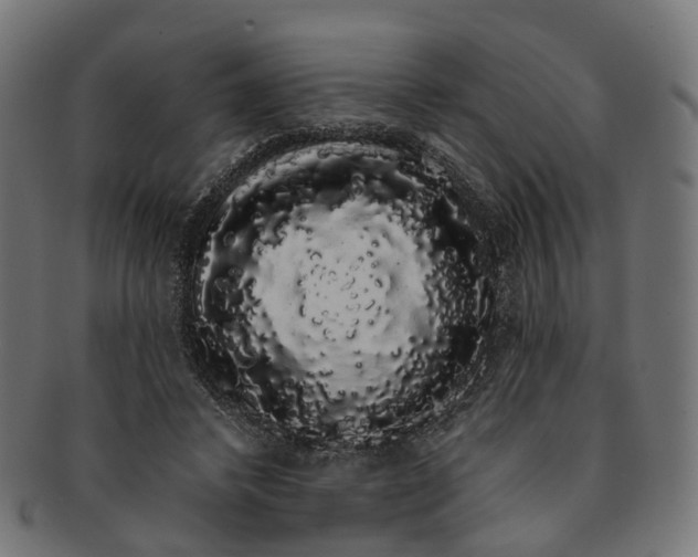 X0000091240448200709061543