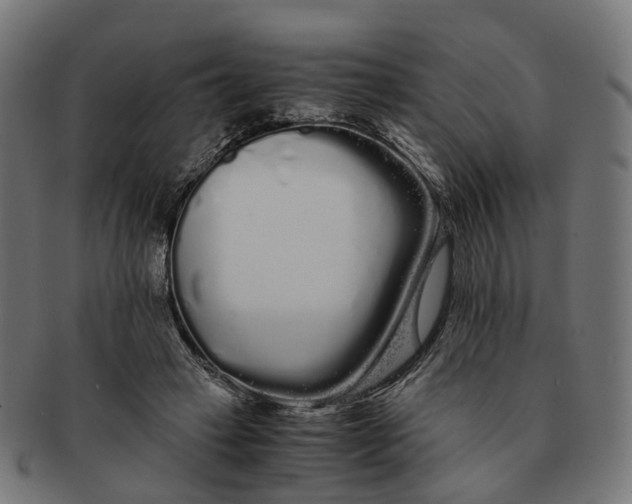 X0000091240449200709061543