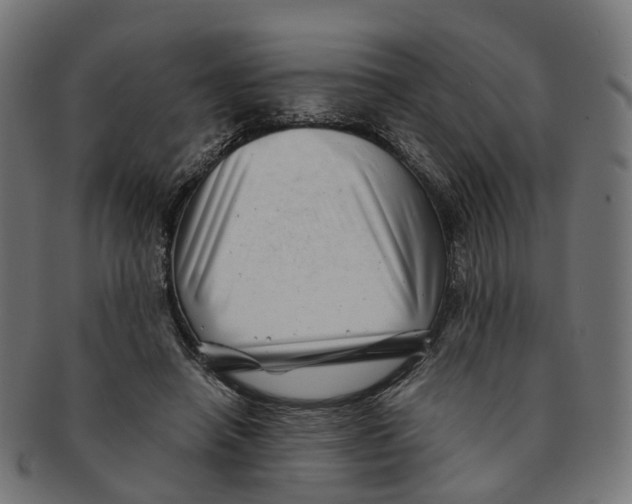 X0000091240450200709061543