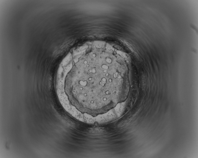 X0000091240451200709061543