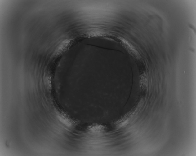 X0000091240452200709061543