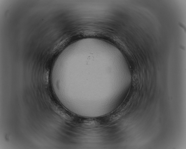 X0000091240454200709061543