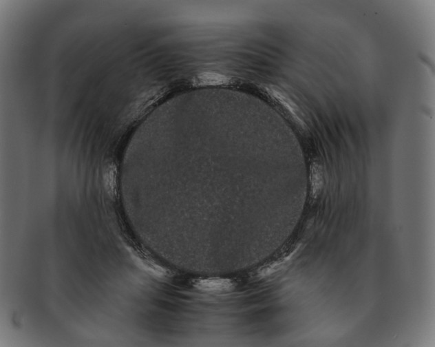 X0000091240455200709061543