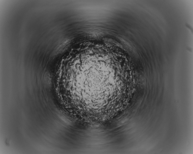 X0000091240456200709061543