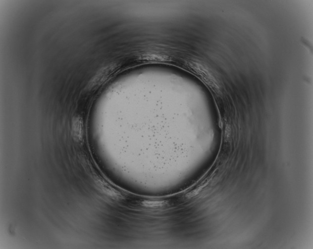 X0000091240457200709061543