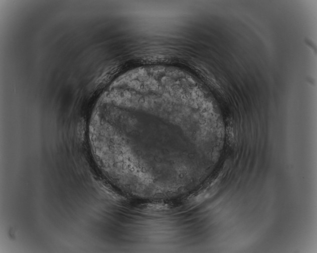 X0000091240458200709061543
