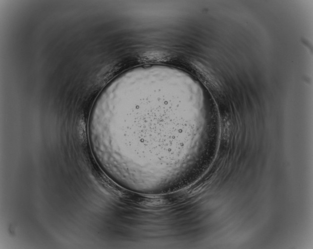 X0000091240459200709061543