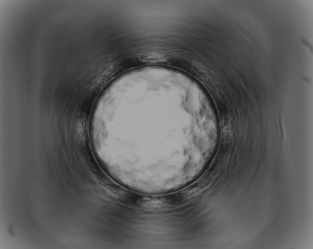 X0000091240460200709061543