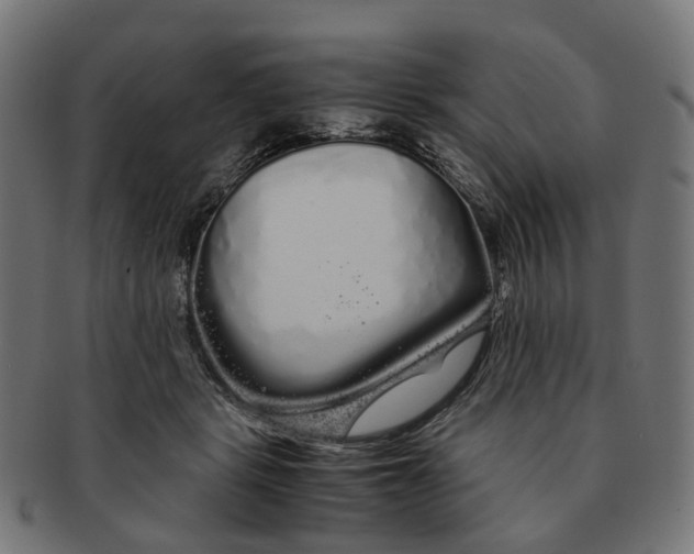 X0000091240461200709061543
