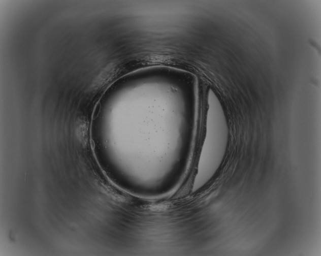 X0000091240462200709061543